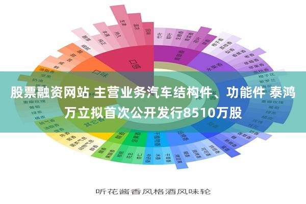 股票融资网站 主营业务汽车结构件、功能件 泰鸿万立拟首次公开发行8510万股