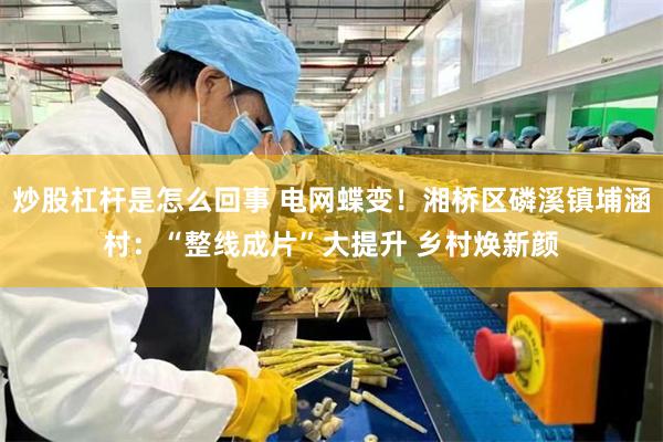 炒股杠杆是怎么回事 电网蝶变！湘桥区磷溪镇埔涵村：“整线成片”大提升 乡村焕新颜