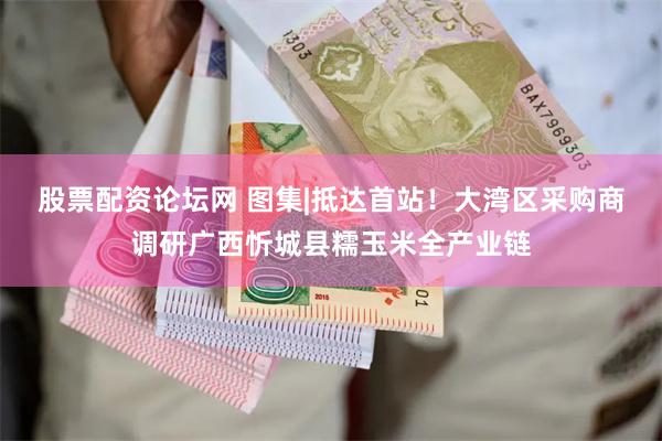 股票配资论坛网 图集|抵达首站！大湾区采购商调研广西忻城县糯玉米全产业链