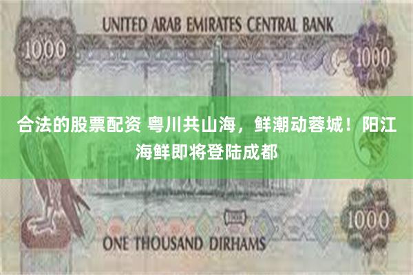 合法的股票配资 粤川共山海，鲜潮动蓉城！阳江海鲜即将登陆成都