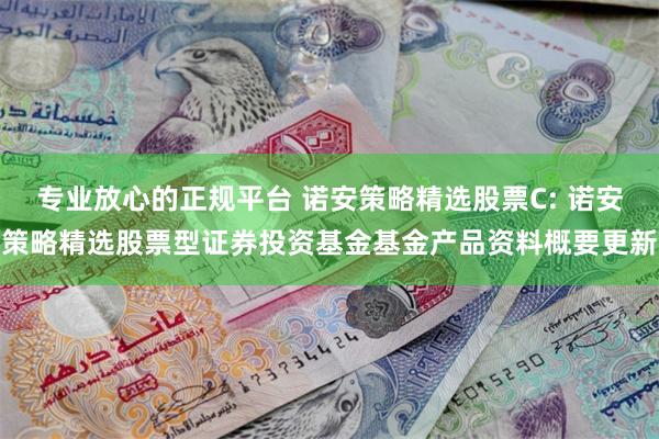 专业放心的正规平台 诺安策略精选股票C: 诺安策略精选股票型证券投资基金基金产品资料概要更新