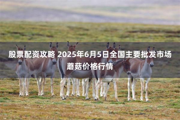 股票配资攻略 2025年6月5日全国主要批发市场蘑菇价格行情
