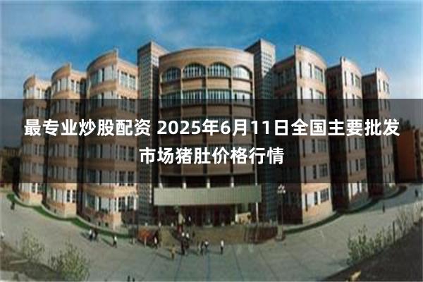 最专业炒股配资 2025年6月11日全国主要批发市场猪肚价格行情