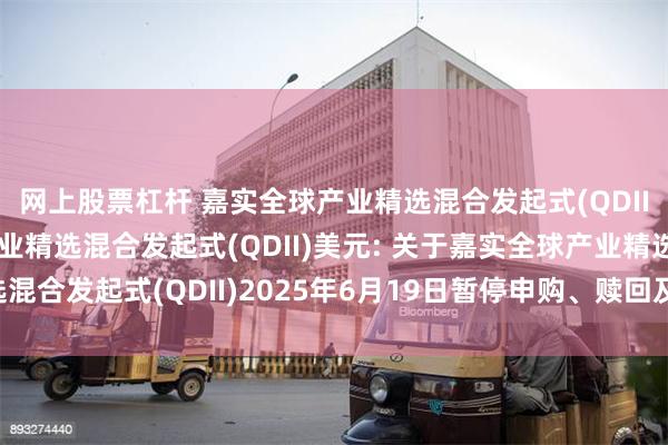 网上股票杠杆 嘉实全球产业精选混合发起式(QDII)人民币,嘉实全球产业精选混合发起式(QDII)美元: 关于嘉实全球产业精选混合发起式(QDII)2025年6月19日暂停申购、赎回及定期定额投资业务的公告