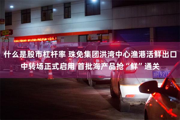什么是股市杠杆率 珠免集团洪湾中心渔港活鲜出口中转场正式启用 首批海产品抢“鲜”通关